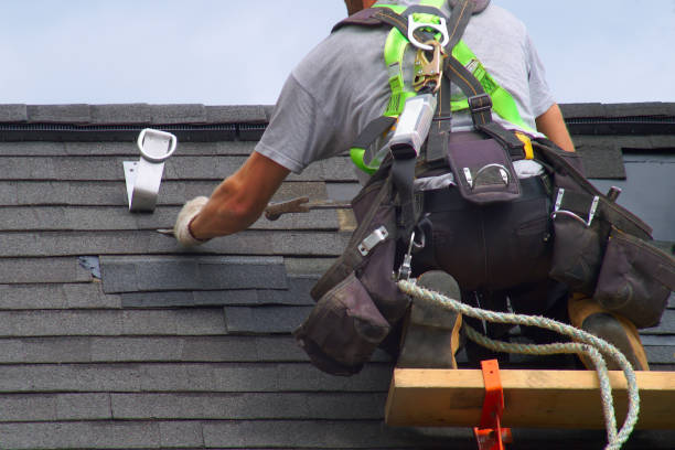 Best Local Roofing Companies  in Springdale, AR