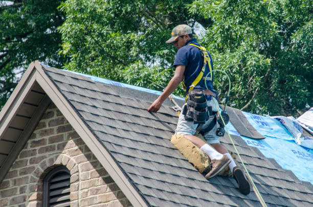 Best Roof Maintenance Services  in Springdale, AR